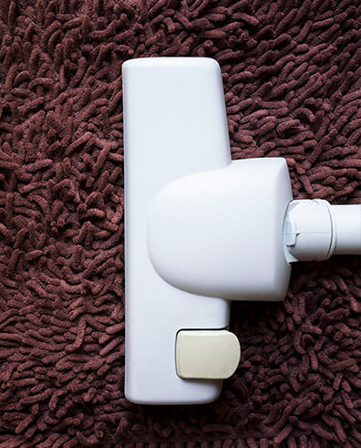 carpet cleaning